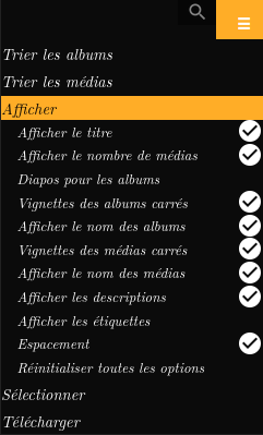Les options d’affichage de l’interface utilisateur